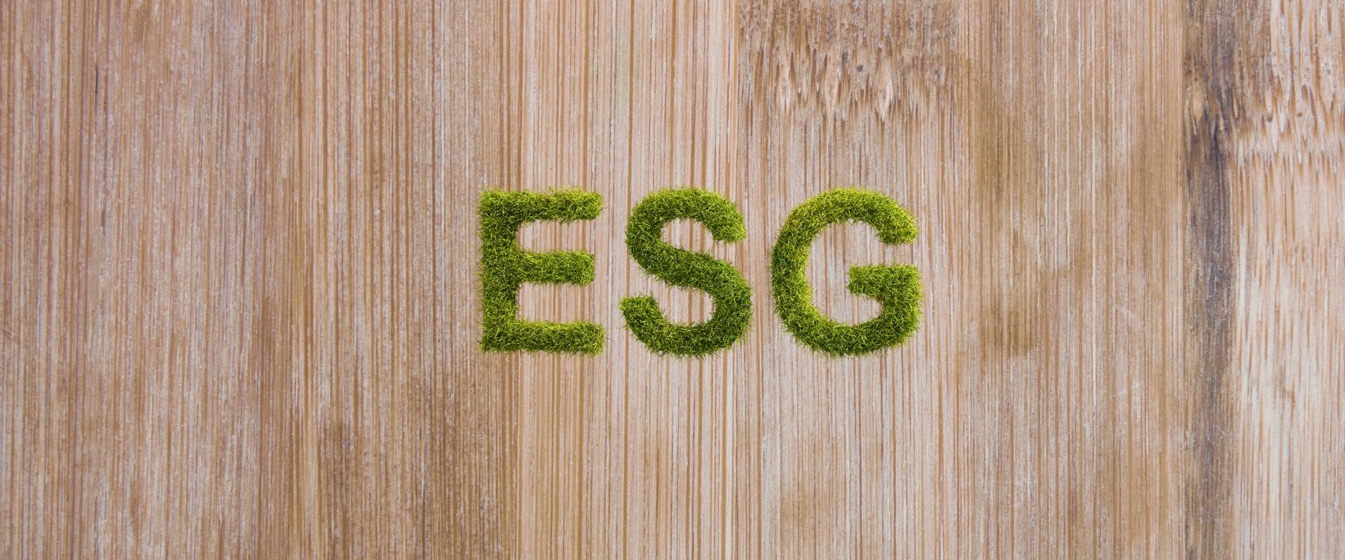 Elevate Your Brand With ESG Digital Marketing and Advertising Agencies