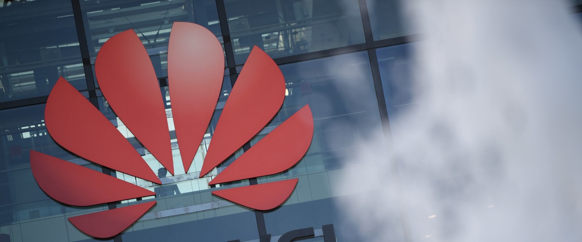 11 Companies That Have Gone Global