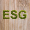 Elevate Your Brand With ESG Digital Marketing and Advertising Agencies