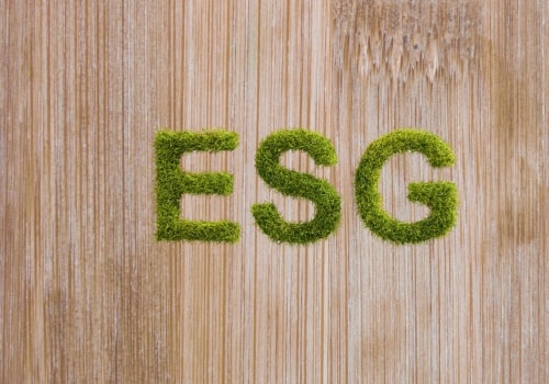 Elevate Your Brand With ESG Digital Marketing and Advertising Agencies